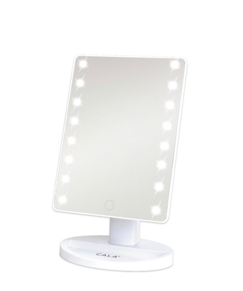 Vanity Mirror with LED Light